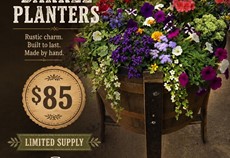 Barrel Planters On Sale Now